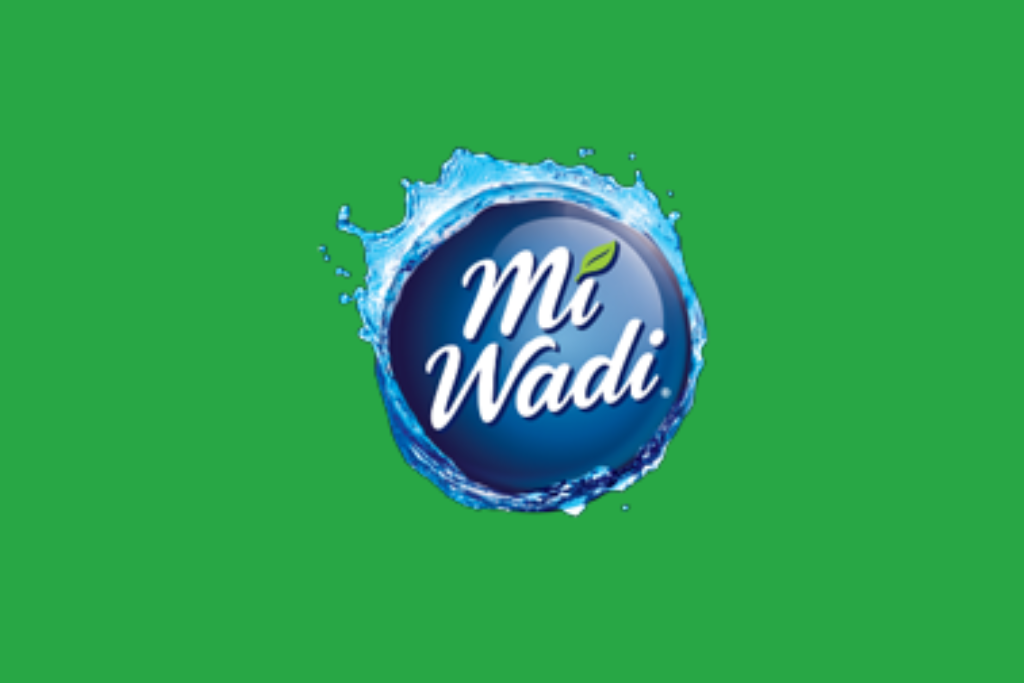 MiWadi website development project